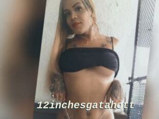 12inchesgatahott