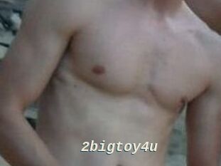 2bigtoy4u