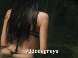 Aliccegreys