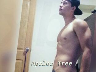 Apoloo_Tree