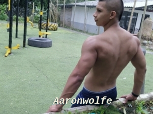 Aaronwolfe