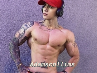 Adamscollims
