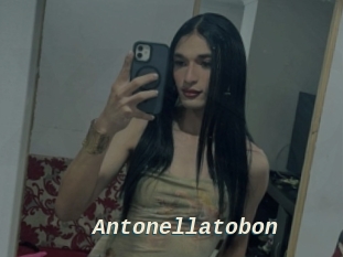 antonellatobon x baise gratuite