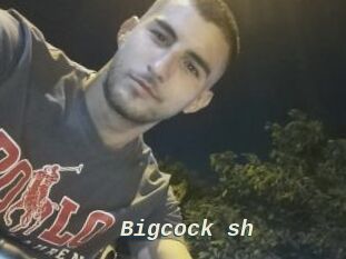 Bigcock_sh