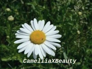 Camellia_XBeauty