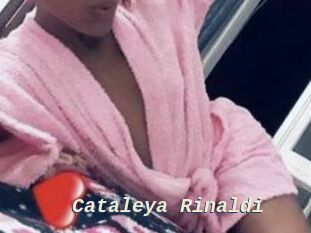 Cataleya_Rinaldi