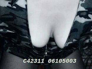 C42311-06105003