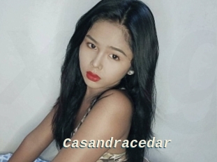 Casandracedar
