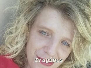Dragibus