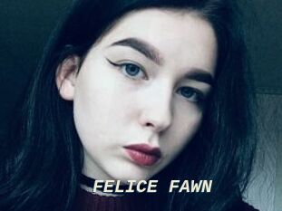 FELICE_FAWN