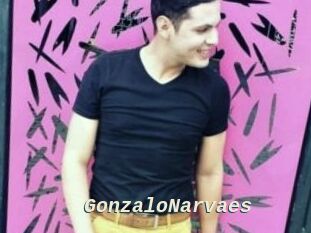 GonzaloNarvaes