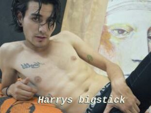 Harrys_bigstick x baise gratuite