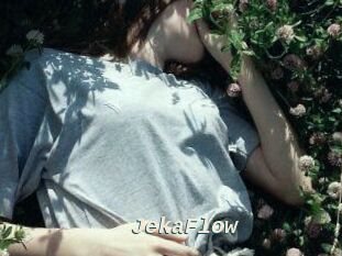 JekaFlow