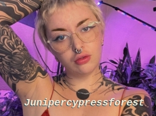 Junipercypressforest