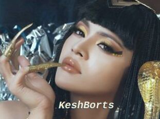 KeshBorts