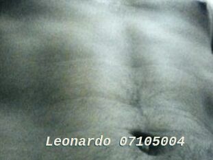 Leonardo-07105004
