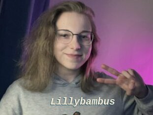 Lillybambus
