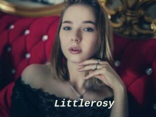 littlerosy x baise gratuite