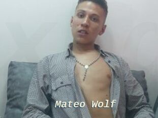 Mateo_Wolf