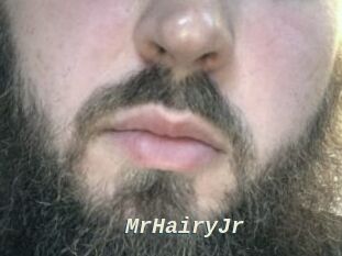 MrHairyJr