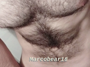 Marcobear18