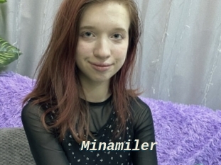 Minamiler