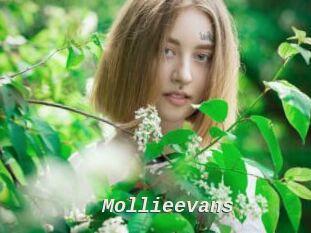 Mollieevans