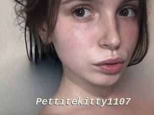 Pettitekitty1107