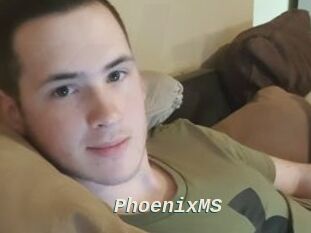 PhoenixMS