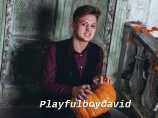 Playfulboydavid