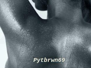 Pytbrwn69