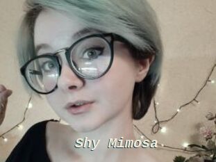 Shy_Mimosa