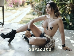 Saracano