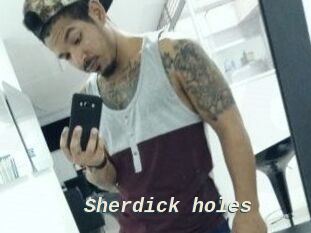 Sherdick_holes