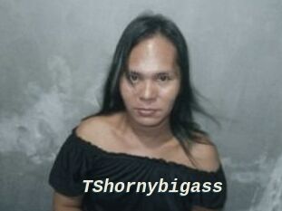 TShornybigass