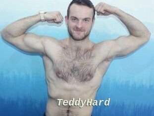 TeddyHard
