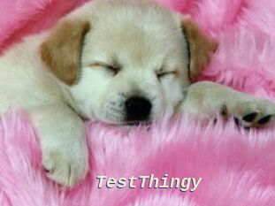 TestThingy