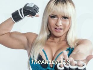 TheAnimal13