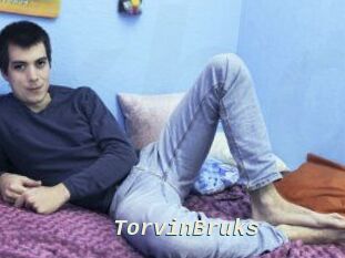 TorvinBruks