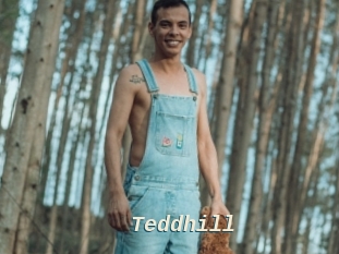 Teddhill