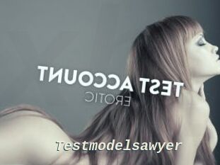 Testmodelsawyer