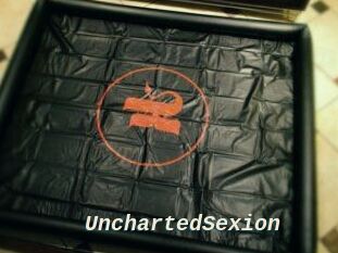 UnchartedSexion