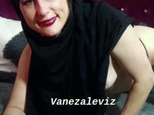 vanezaleviz x baise gratuite