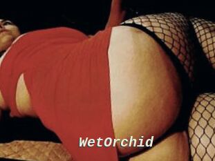WetOrchid