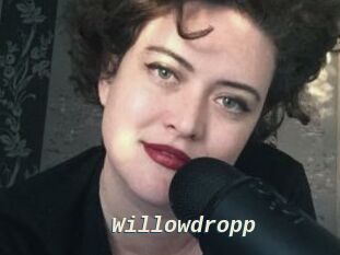Willowdropp