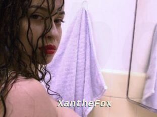 Xanthe_Fox